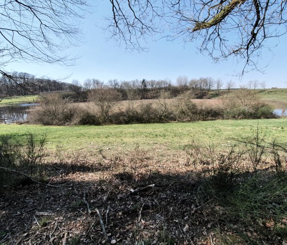 D&uuml;rres Maar im Fr&uuml;hjahr, &copy; GesundLand Vulkaneifel GmbH