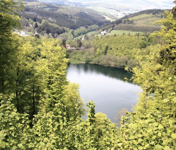 Gem&uuml;ndener Maar mit Bergen, &copy; GesundLand Vulkaneifel