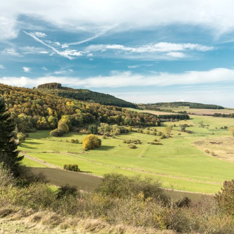 Étang de Dreiser sur le sentier de randonnée "Vulkangipfel-Pfad" (sentier du sommet du volcan), © Eifel Tourismus GmbH - D. Ketz