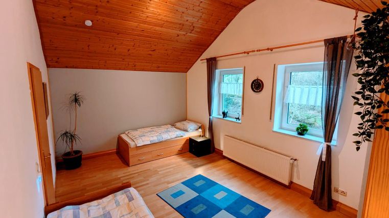 A spacious room with a wooden floor and a slanted ceiling. There are two beds, large windows, and a plant in the corner.
