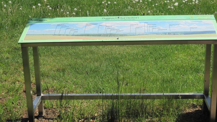 An information sign with the inscription 'Eifelblick Auf Heilert' stands in a green meadow with dandelions.