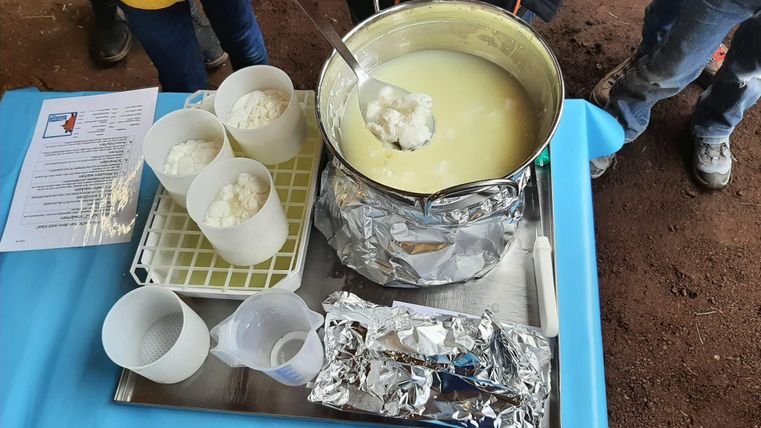 Ein Topf mit Milch, in dem Käse hergestellt wird. Daneben stehen mehrere Becher mit Zutaten.