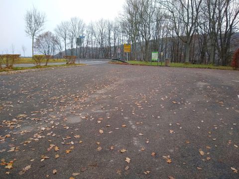 An empty parking lot with fallen leaves and barren trees in the background. The sky is cloudy and it is a quiet atmosphere.