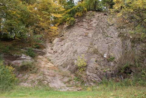 Eine steile Felswand in einer bewaldeten Umgebung. Im Vordergrund ist grünes Gras und im Hintergrund sind herbstliche Bäume zu sehen.