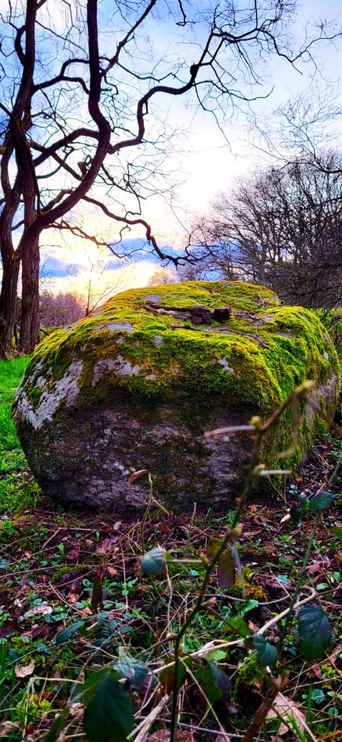Ein großer, moosbedeckter Stein in einer grünen Wiese. Im Hintergrund sind kahle Bäume und ein farbiger Himmel zu sehen.