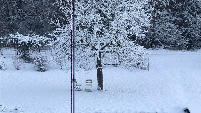 A snowy landscape with a tree.