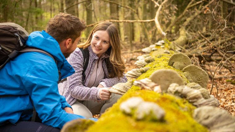 Ein Paar sitzt auf einem moosbedeckten Steinwall im Wald. Sie sprechen miteinander und genießen die Natur.
