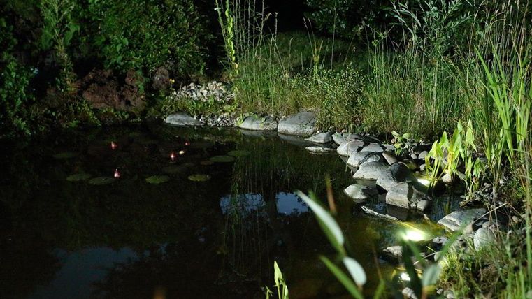Een stille vijver omringd door groene planten en stenen. Zachtere verlichting creëert een rustige sfeer in de nacht.