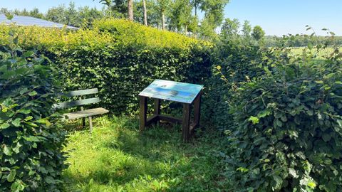 Ein kleiner, grüner Garten mit hohen Hecken. Eine Bank und ein Tisch mit Informationsmaterial stehen an einem sonnigen Ort.