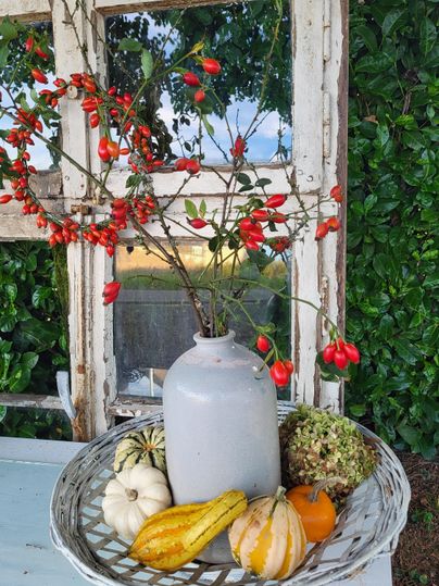 A decorative table with a vase filled with branches and red berries. Surrounding it are various pumpkins and a pretty wicker plate.