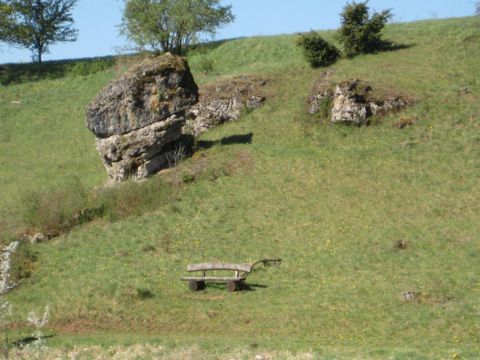 <p>Das Hippelsteinchen ist eine Gesteinsformation und besteht aus mehreren aufeinander geschichteten Felsblöcken. Das Gebilde ähnelt einem Pilz und ist etwa fünf Meter hoch. Das Hippelsteinchen steht in leichter Hanglage. Rechts und links vom Stein befinden sich je ein Aufschluss,unterhalb steht eine Ruhebank.</p>
