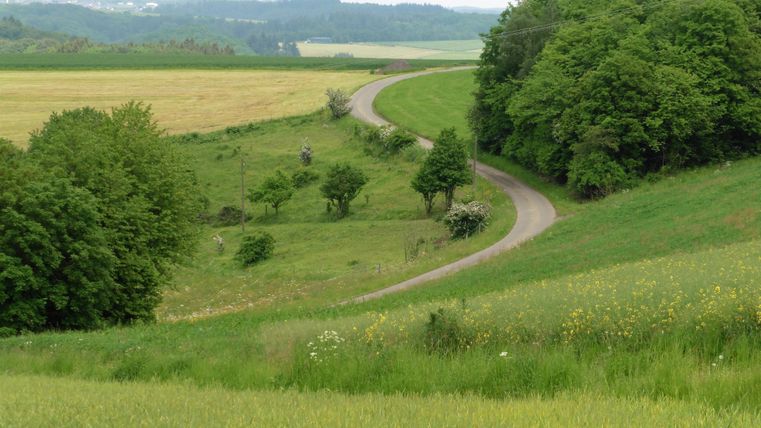 Eine kurvenreiche Straße verläuft durch grüne Felder und Wälder. Die Landschaft ist friedlich und naturbelassen.