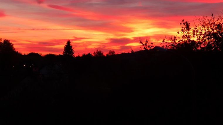 Een indrukwekkende zonsondergang met helder rode en orangekleurige wolken. Silhouetten van bomen zijn op de voorgrond zichtbaar.