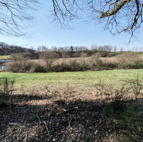 D&uuml;rres Maar im Fr&uuml;hjahr, &copy; GesundLand Vulkaneifel GmbH