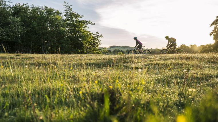 Two cyclists are riding through a green meadow at sunset. The sky is clear and the landscape is calm.