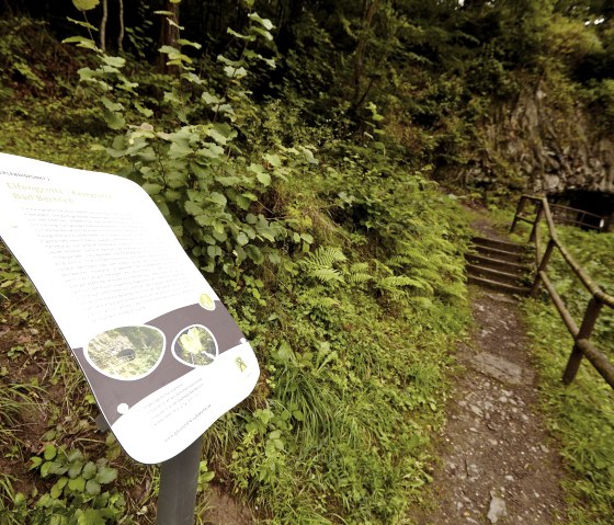 Elfengrotte/K&auml;segrotte mit Infoschild, &copy; GesundLand Vulkaneifel/M. Rothbrust