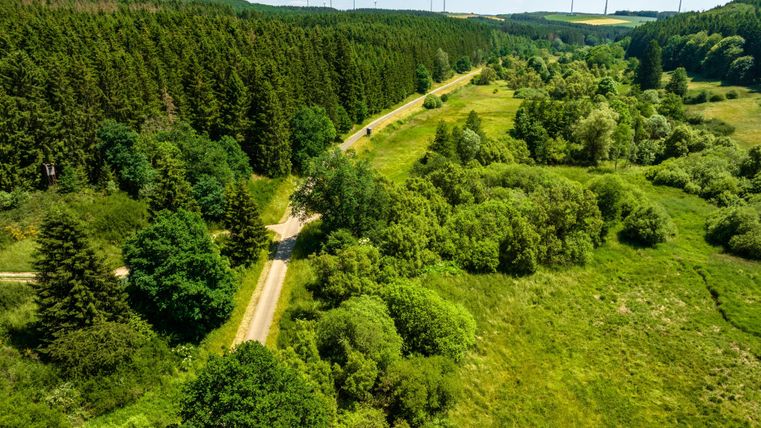 Een groen landschap met heuvelachtige weilanden en bomen. Op de achtergrond zijn windturbines zichtbaar.