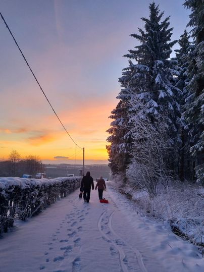 Ein winterlicher Weg mit frischem Schnee und hohen Bäumen. Zwei Personen gehen bei Sonnenaufgang in der Ferne.