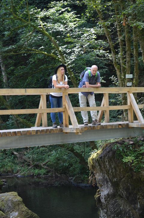 Ein Paar steht auf einer Holzbrücke in einem Wald. Im Hintergrund sind grüne Bäume und ein ruhiger Fluss zu sehen.