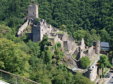 Eine alte Burgruine, umgeben von dichter grüner Vegetation. Die Überreste der Mauern und Türme sind gut sichtbar und zeugen von vergangener Architektur.