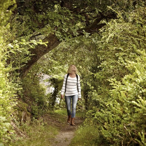 im Palmberg Bad Bertrich, &copy; GesundLand Vulkaneifel GmbH