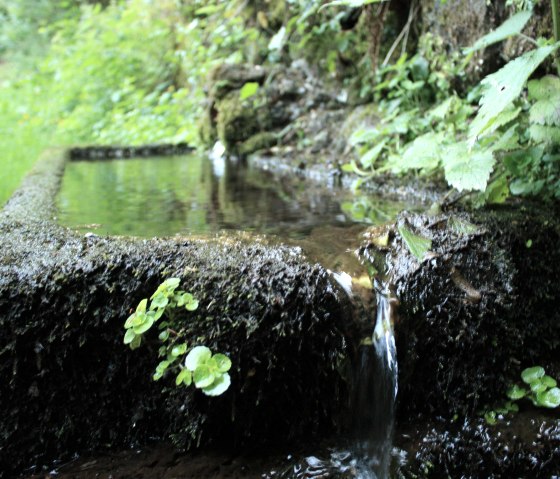 Maischquelle mit &Uuml;berlauf, &copy; GesundLand Vulkaneifel GmbH