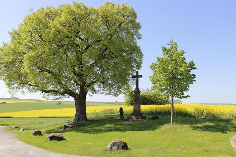 Ein friedlicher Ort mit zwei Bäumen und einem Kreuz. Im Hintergrund leuchtet ein feld mit gelben Blumen.