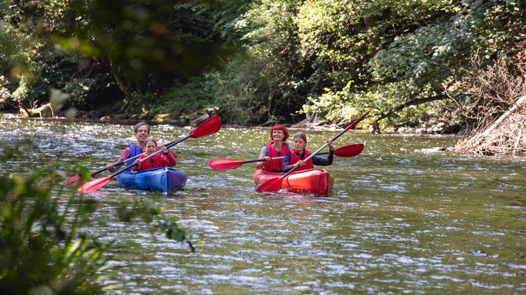 Drei Personen paddeln in Kajaks auf einem ruhigen Fluss. Die Umgebung ist grün und naturnah.