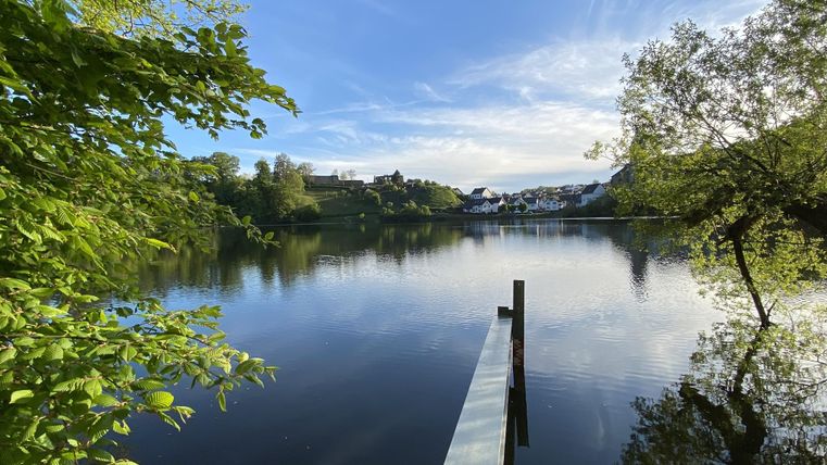 Ein ruhiger See umgeben von Bäumen und einer klaren, blauen Himmel. Ein Steg führt ins Wasser und lädt zum Verweilen ein.