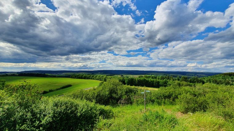 A wide landscape with green meadows and trees under a cloudy sky. The clouds drift over the gentle hills.