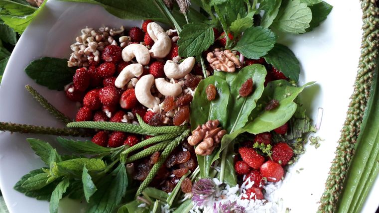 A colorful plate with fresh herbs, berries, and nuts. The mix showcases a variety of natural ingredients.