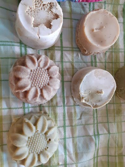 Een vrouw staat in het bos en houdt een plant in haar hand. Ze draagt een kleurrijke top en heeft een zonnebril op.