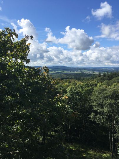 A beautiful view of green forests under a cloudy sky. Vast landscapes stretch out in the background.