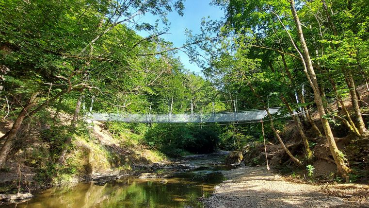 A hanging bridge over a clear stream, surrounded by dense, green trees. The sun rays gently fall on the landscape.