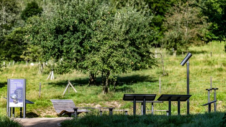 Ein ruhiger Park mit Freizeitgeräten und einer informativen Tafel. Im Hintergrund steht ein großer Baum auf einer grünen Wiese.
