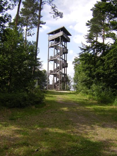 Holzaussichtsturm im Wald mit blauem Himmel im Hintergrund.