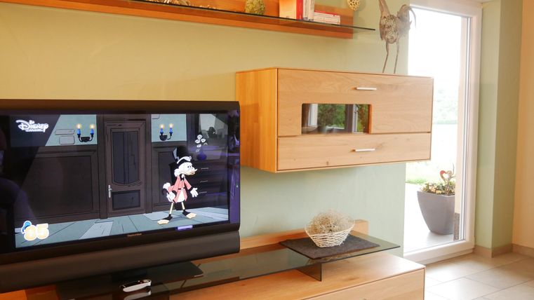 A modern living room with a television displaying a cartoon. In the background, there are elegant furniture and a window with plants.