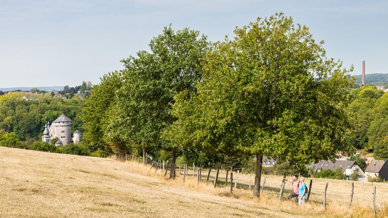 A picturesque landscape with green trees and a gentle slope. In the background, a historic building is visible, while walkers stroll along a path.