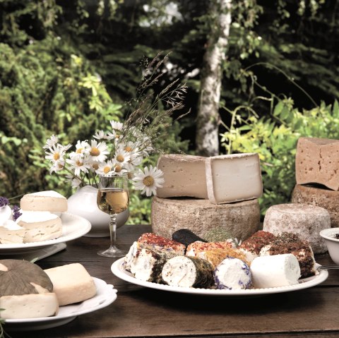 Vulkanhof Ziegenk&auml;se Auswahl