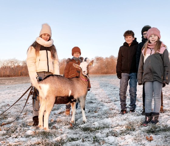 Ziegenwanderung Kindergeburtstag auf dem Vulkanhof, &copy; Goltz | Phormat