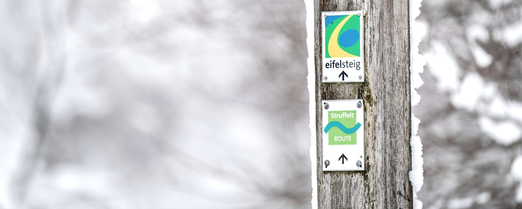 A wooden post with signs for the Eifelsteig and the Struffelt route, covered in snow, against a blurred, wintry background., &copy; Eifel Tourismus GmbH, Dominik Ketz