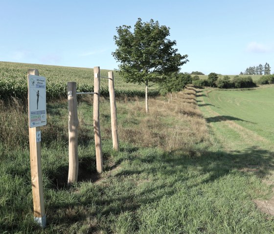 Parcours Klimmzug, &copy; GesundLand Vulkaneifel