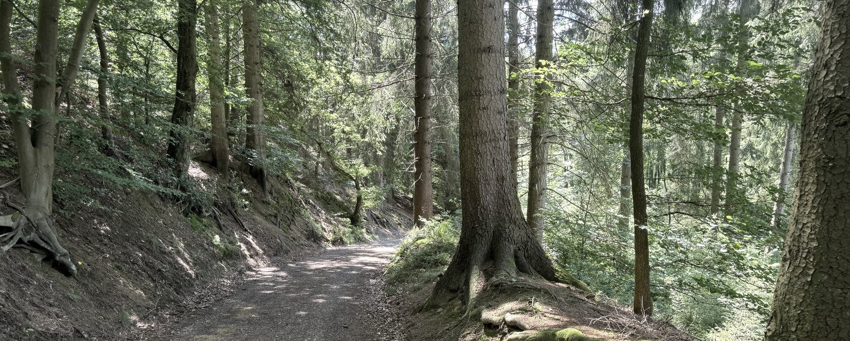 IMG_6735, &copy; Rureifel-Tourismus e.V., Dennis Winands