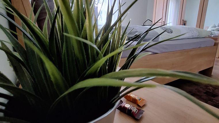 Eine grüne Pflanze in einem metallenen Topf steht auf einem Holztisch. Im Hintergrund sieht man ein Schlafzimmer mit einem Bett undfenster.