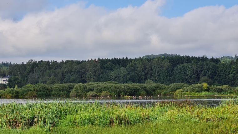 Een rustige landschap met een meer omgeven door weelderig groen en bomen. De lucht is gedeeltelijk bewolkt en geeft de scène een vredige sfeer.