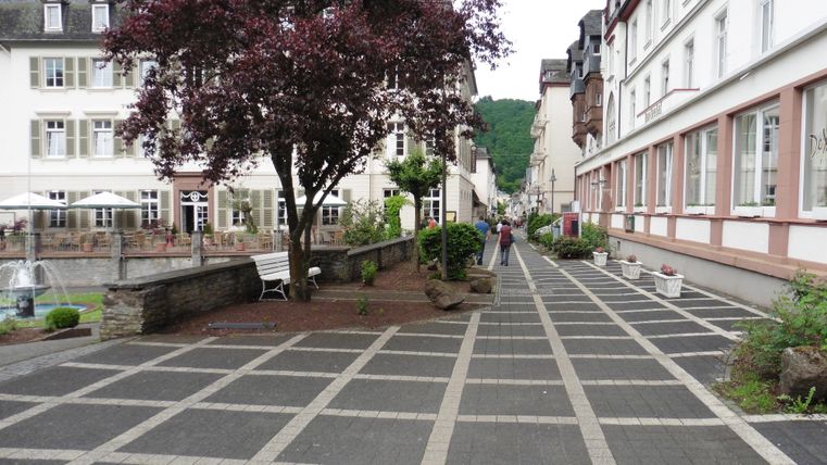Eine ruhige Straße mit gepflastertem Gehweg und einem blühenden Baum. Im Hintergrund sind Gebäude im typischen Stil zu sehen.