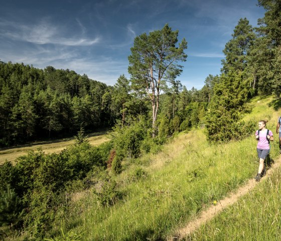 Hiking through the Lampertstal valley, © Eifel Tourismus GmbH, Dominik Ketz