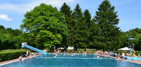 Een groot zwembad omringd door bomen. Veel mensen genieten van de zon en het water.