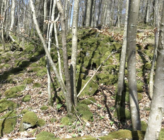 Ringwall, &copy; TI Kelberg