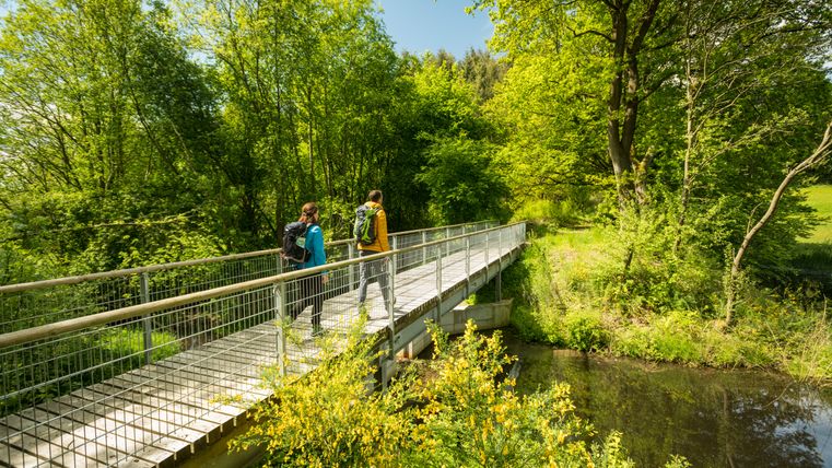 Two people walk over a bridge in the Mürmes nature reserve, surrounded by green trees and yellow gorse.